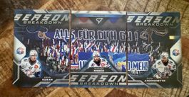 SportZoo Season Breakdown ZSC Lions