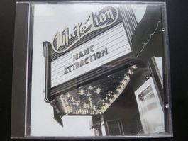 White Lion - Mane Attraction
