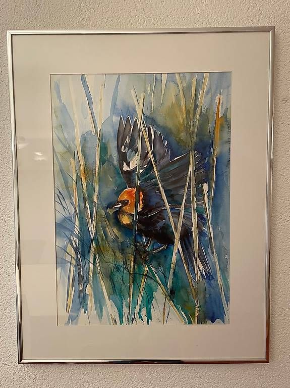 Gemälde: Bild Aquarell Vogel im Flug 50 x 65 – Gebraucht aus Elgg von Stefanie_W2