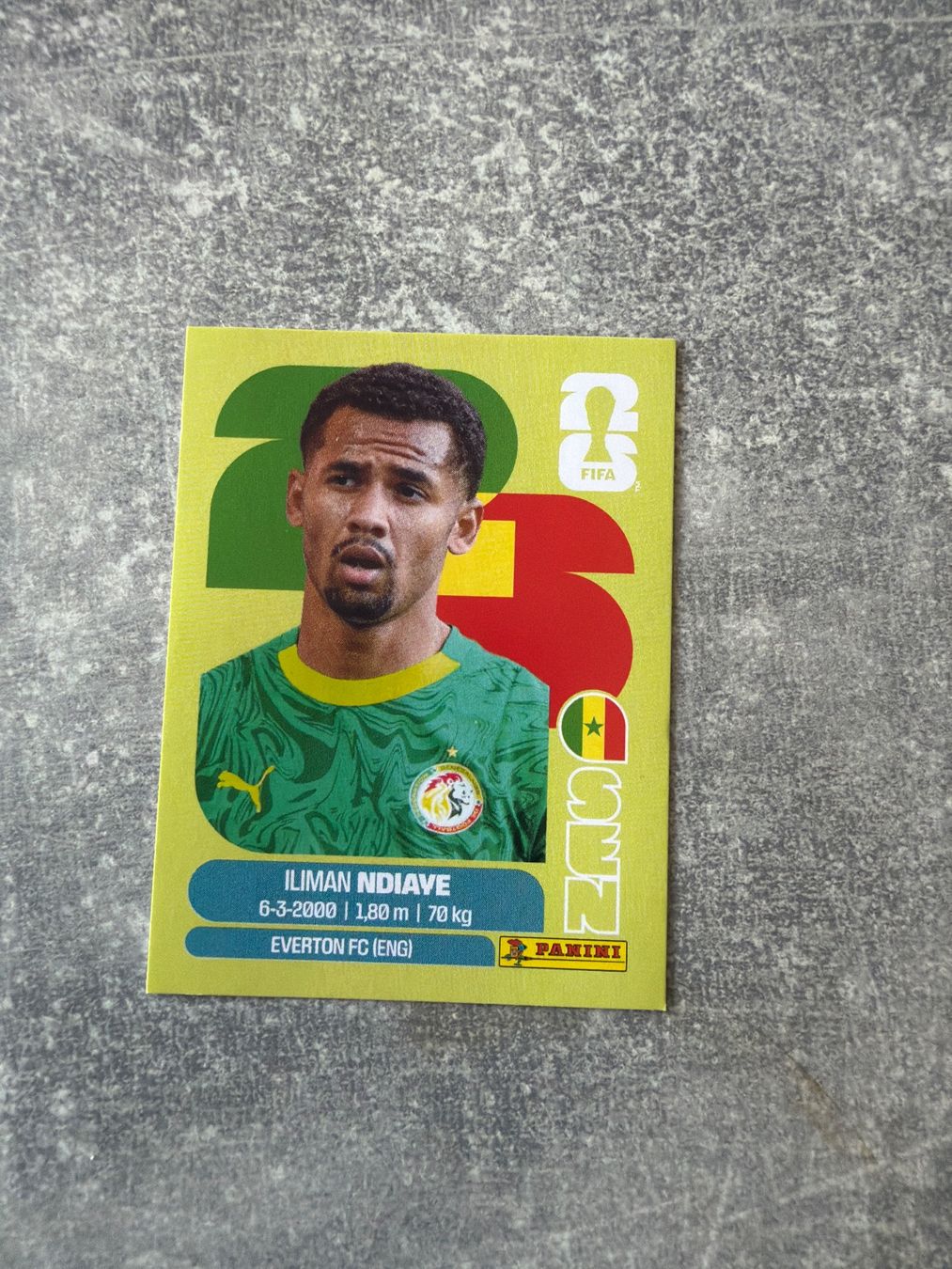 Panini Carte collezionabili: Panini Iliman Ndiaye SEN 18 – Usato da Pfeffingen venduto da Fantasy1971