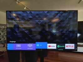 Sony TV KD-85XG8596 IR-Empfänger defekt