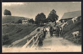 Menzberg, Bauern mit Rindern auf der Alp