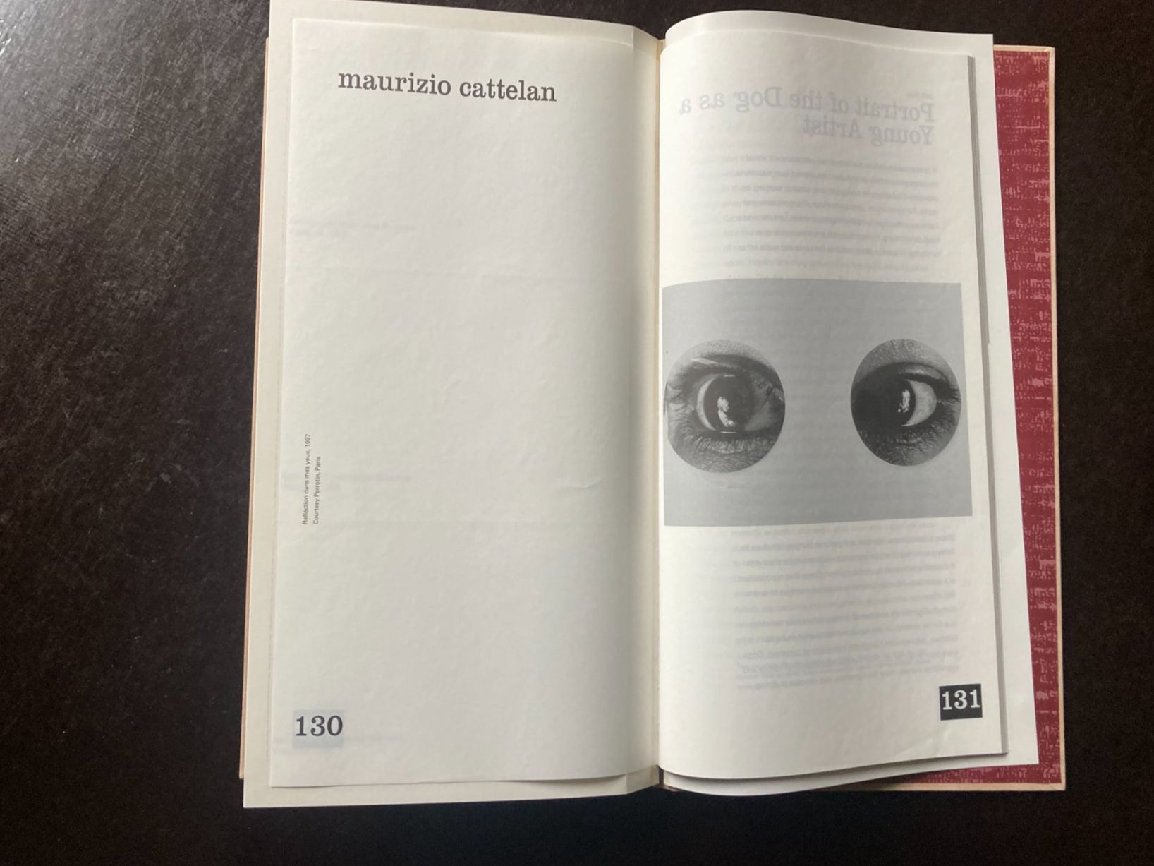 Libri: ironisch / ironic – Usato da zürich venduto da Tombola8 4