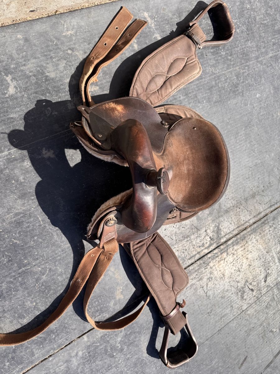 Sattel & Sattelzubehör: Westernsattel mit Pad – Gebraucht aus Siselen BE von Mammut2577 3