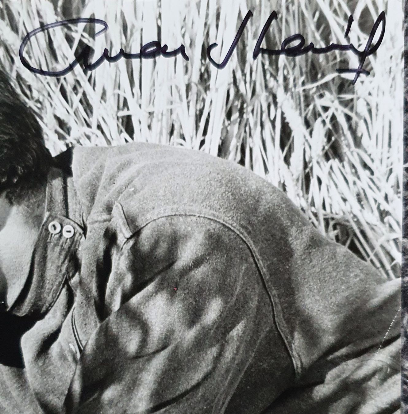 Autografi: Julie Andrews & Omar Sharif Originalautogramme – Nuovo (secondo la descrizione) da Feldbach venduto da gardenmagic 2