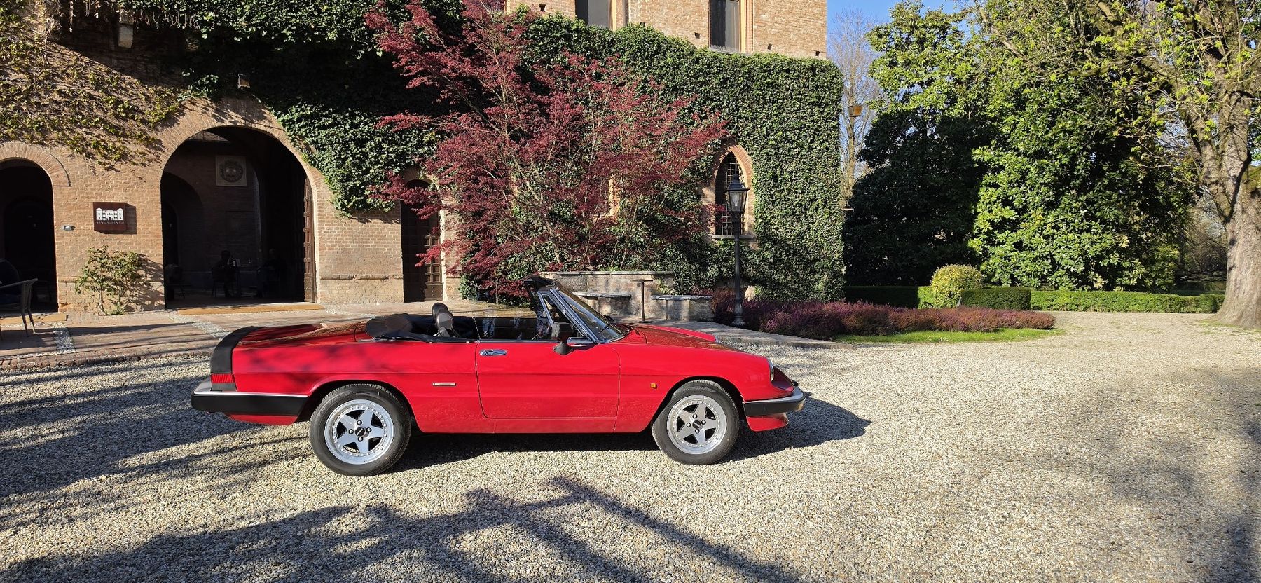 Alfa Romeo Autos: Alfa Romeo Spider – Gebraucht aus Pfäffikon SZ von Scozzi67 3