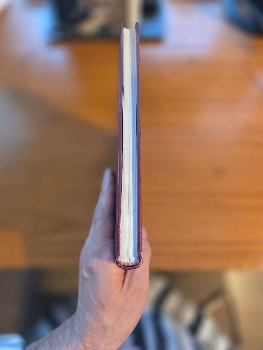 Bücher: Schweizer Kantone Luzern, Avanti 1975 – Gebraucht aus Aldesago von lusuardi 3