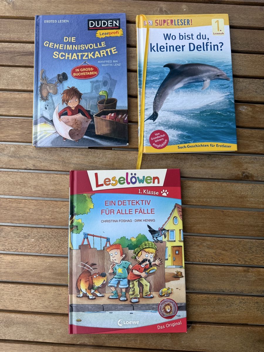 Libri: 1. Klasse Lesebücher – Usato da Thalwil venduto da val_bm5t