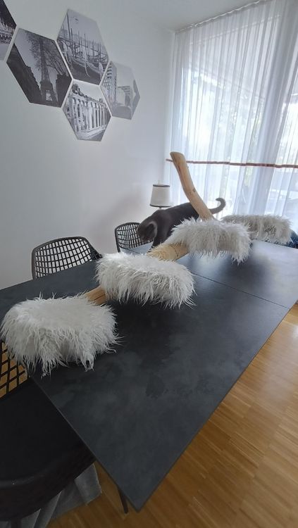 hundekissen wolke Wolke 7 Plus