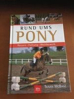 Rund ums Pony Rassen Haltung Wettbewerb
