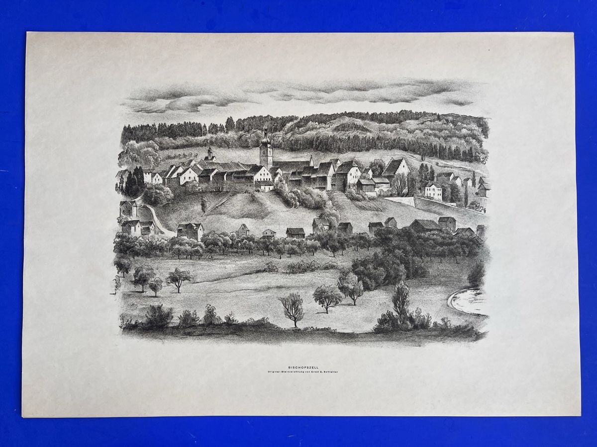 Libri: Schlatter Thurgau 12 Original- Lithographien mit Widmung – Usato da Adliswil venduto da buch_und_kunst 7