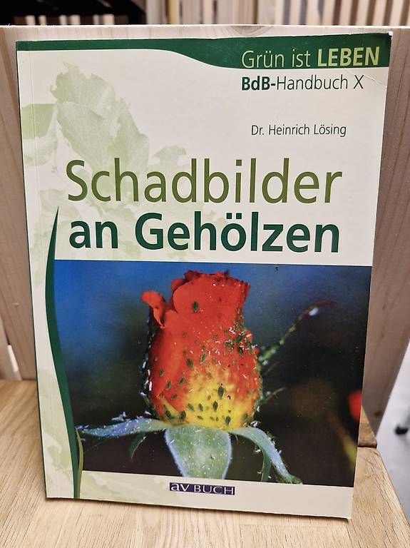 Libri: Schadbilder an Gehölzen – Nuovo (secondo la descrizione) da Malters venduto da marmot85