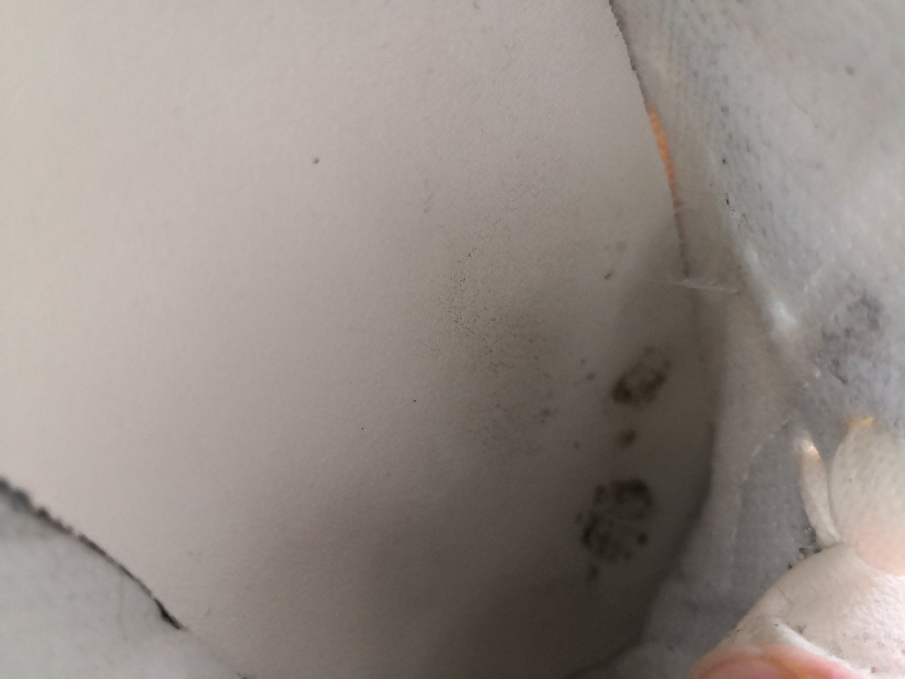 Mango Damenschuhe: 🤩MANGO SNEAKER WEISS DURCHGELAUFEN – Gebraucht aus Olten von Naja-Twins-Twins 7