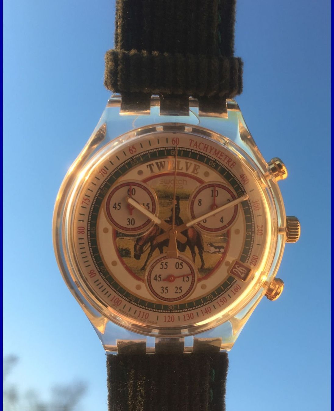 Swatch Orologi: SWATCH  CHRONOGRAPH  SA MAJESTE VELOURS  1995 PFERD  NEU – Nuovo (secondo la descrizione) da Subingen venduto da ArtBead 1
