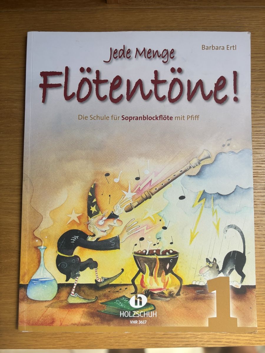 Libri: Flötentöne Jede Menge - Barbara Ertl – Usato da Founex venduto da ari_2gt7