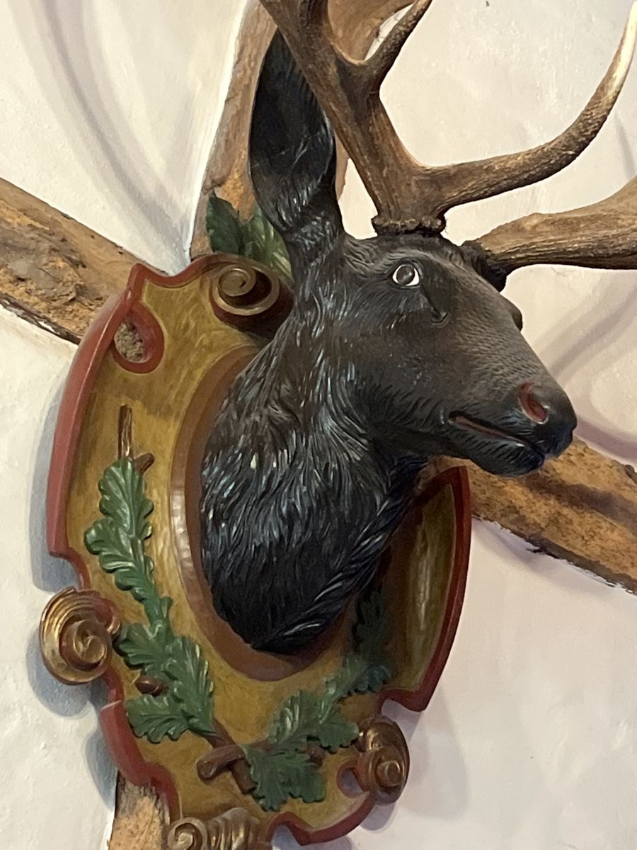Sculture & Statue: Alte geschnitzte Hirschtrophäe xxl Geweih – Usato da Brienz BE venduto da hey_z9vg 7