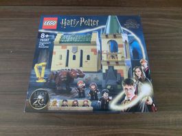 Lego Harry Potter 76387 Hogwarts Begegnung mit Fluffy