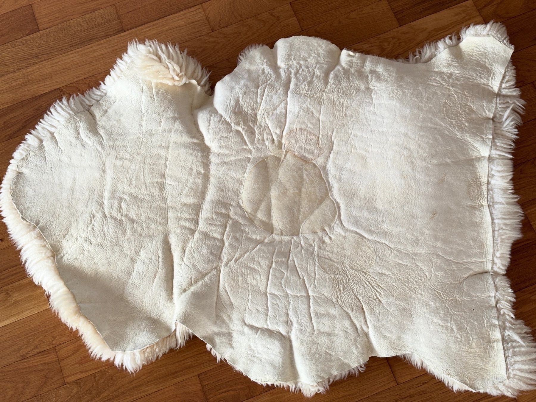 Stoffe: Schaffell – Gebraucht aus Luzern von Versuchende 5