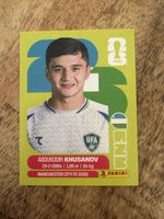 Panini UZB 9