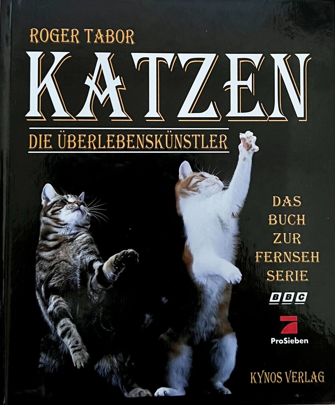 Libri: Buch - Katzen / Die Überlebenskünstler – Usato da Leimbach TG venduto da manu-tg