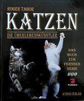 Buch - Katzen / Die Überlebenskünstler