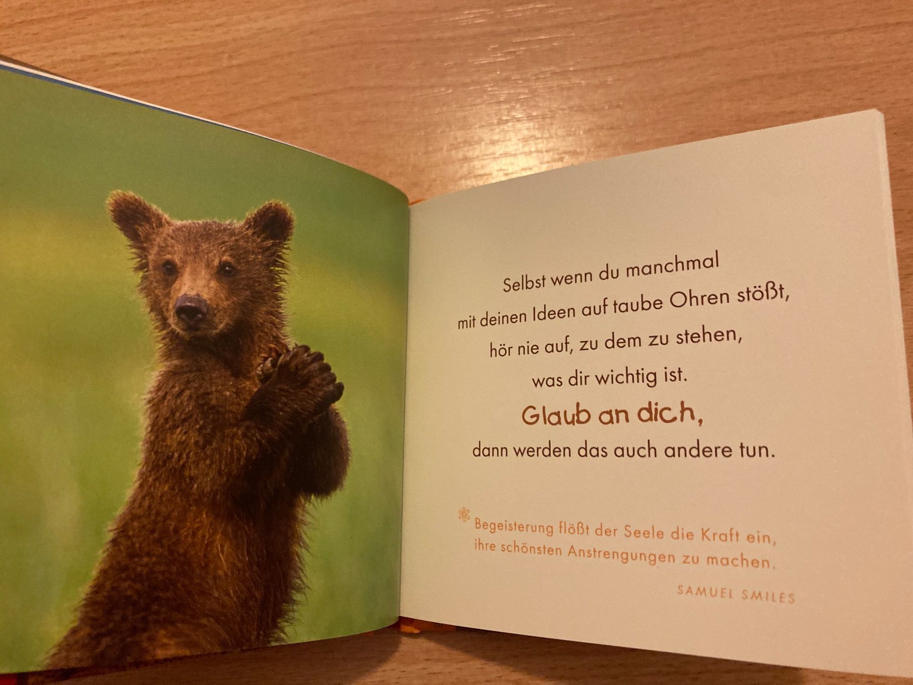 Libri: Bärenkräfte Buch – Usato da Schlattingen venduto da fernfen 2