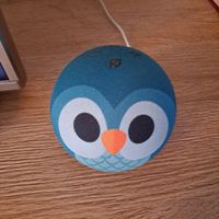 Amazon Echo Dot Kids 5. Generation