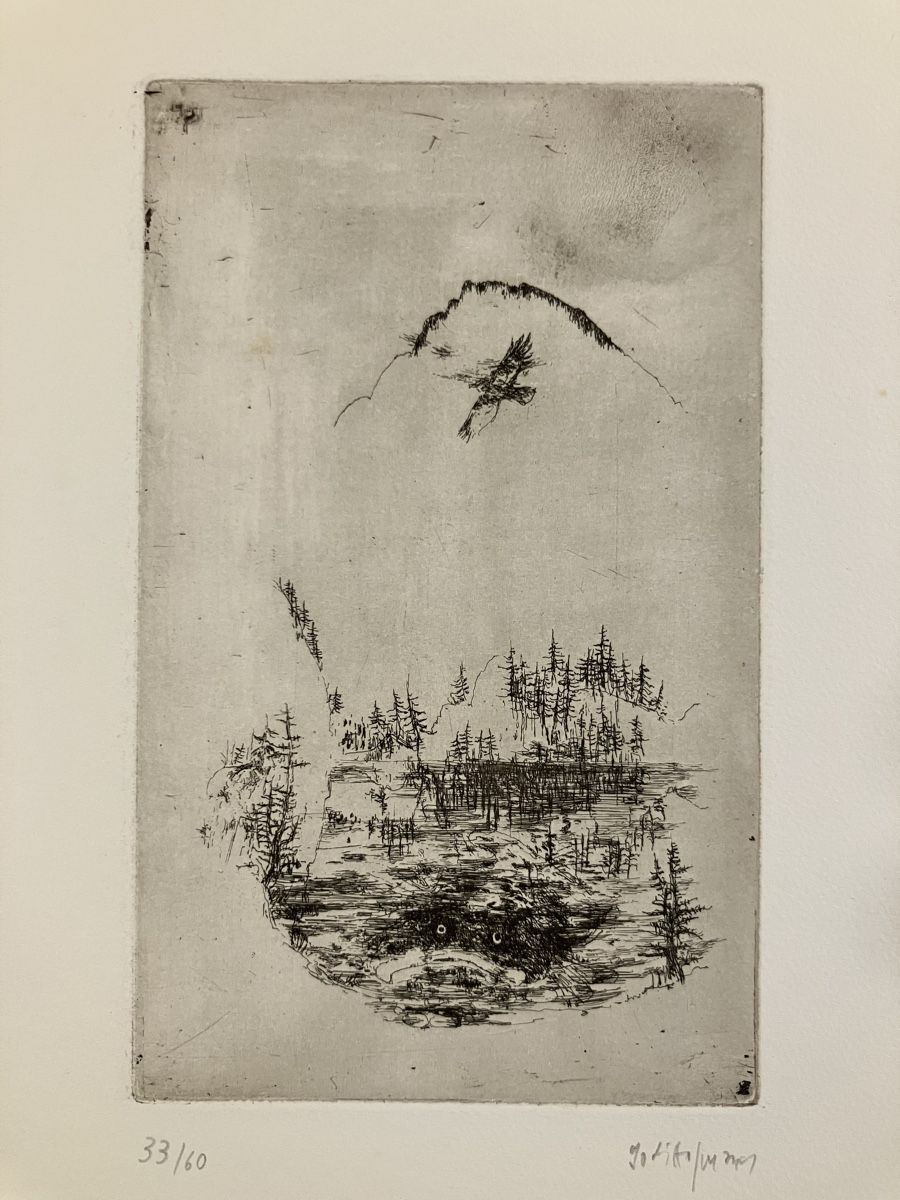 Incisioni: Godi HOFMANN - portfolio de 6 gravures – Usato da Lausanne venduto da Willandco 3