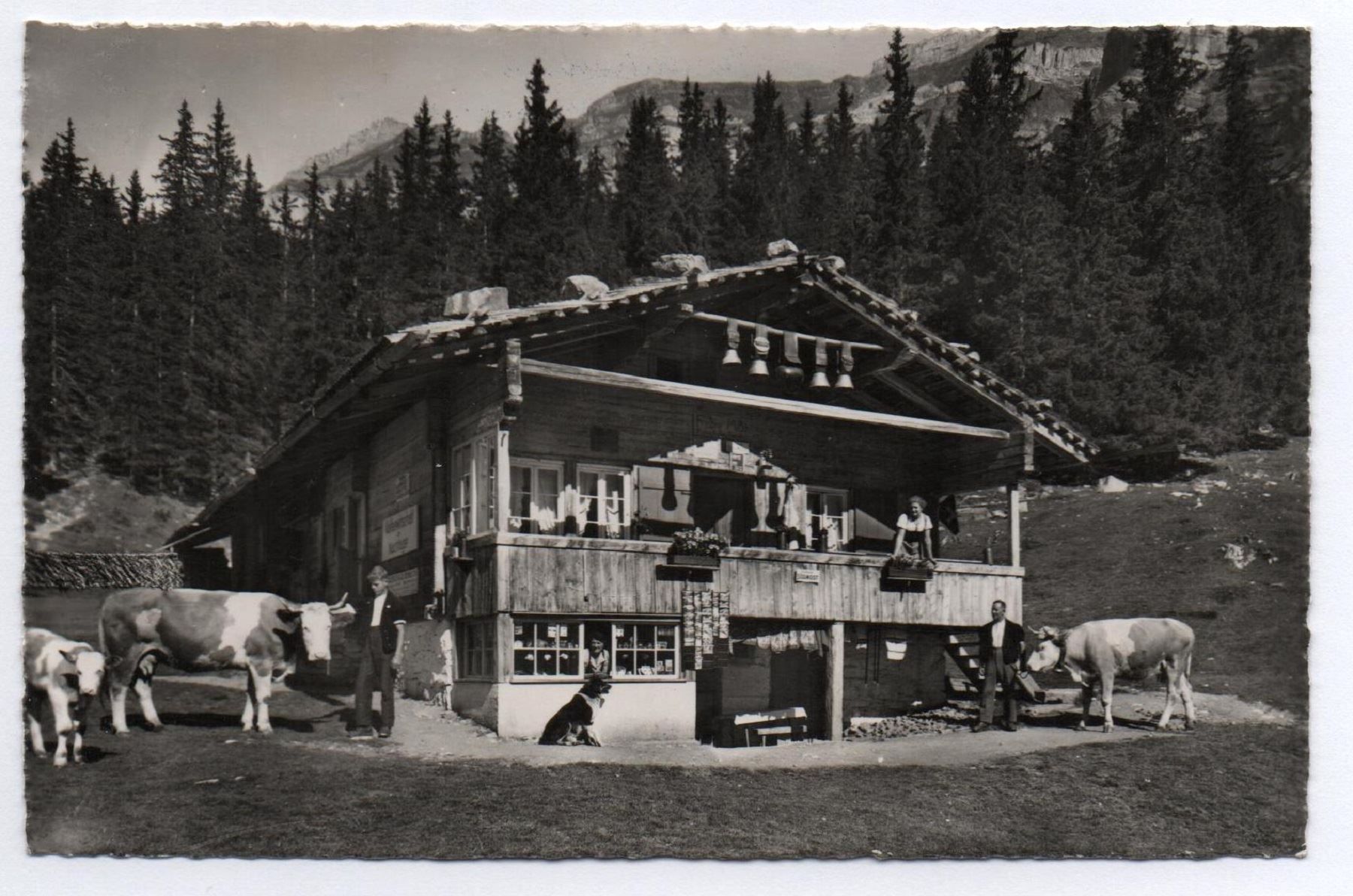 Cartoline postali: KANDERSTEG Sennerei Waldfluh-Rauber – Usato da Jona venduto da philajona