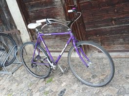 WHEELER City bike purple