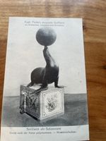 Ansichtskarte "Seelöwen als Balanceure" Kpt. Frohn's dressie