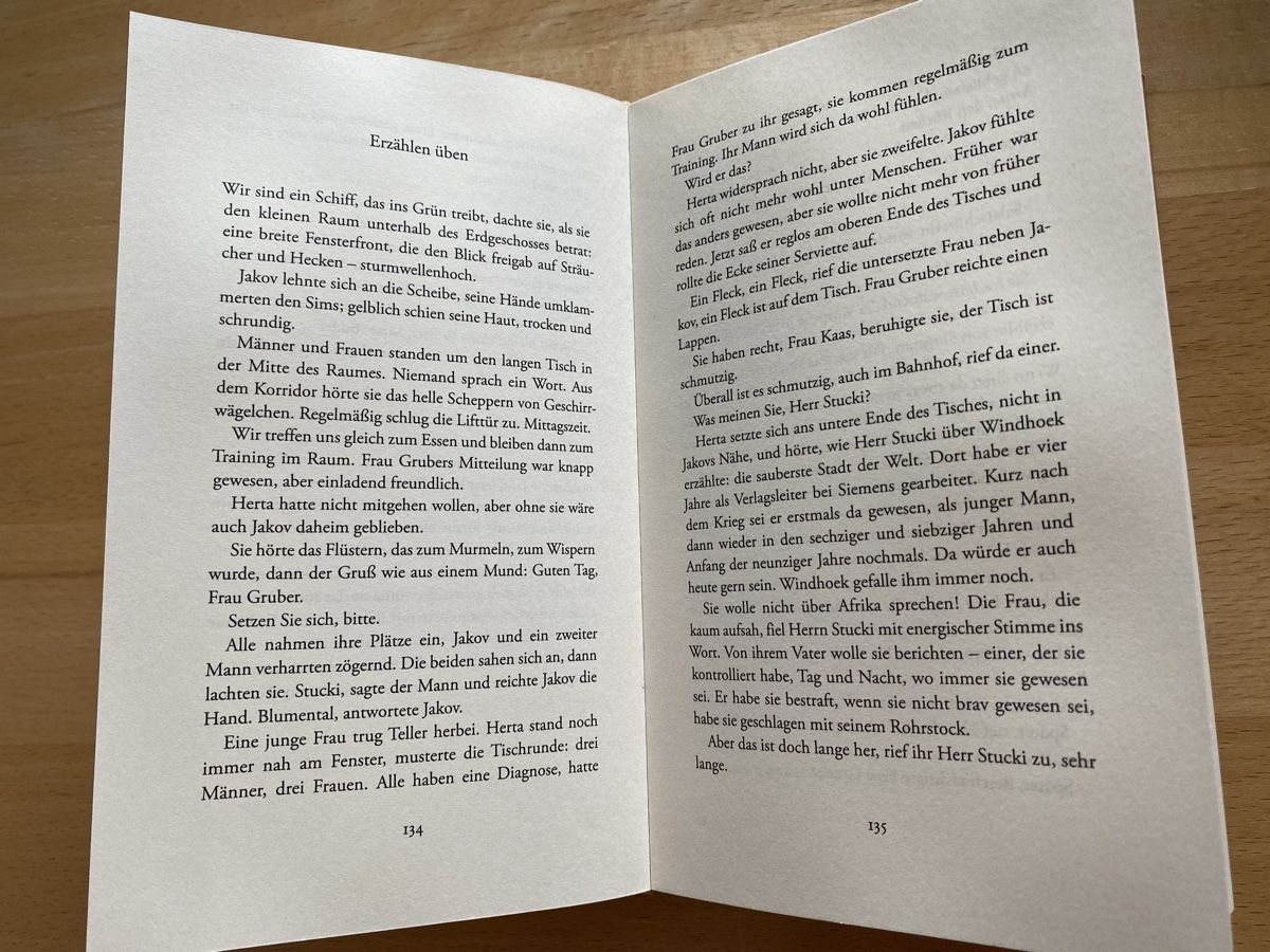 Libri: Untertags - Urs Faes – Usato da Schwarzenburg venduto da Michellu 8