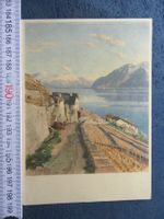 LAVAUX GENFERSEE KÜNSTLER-AK 1952