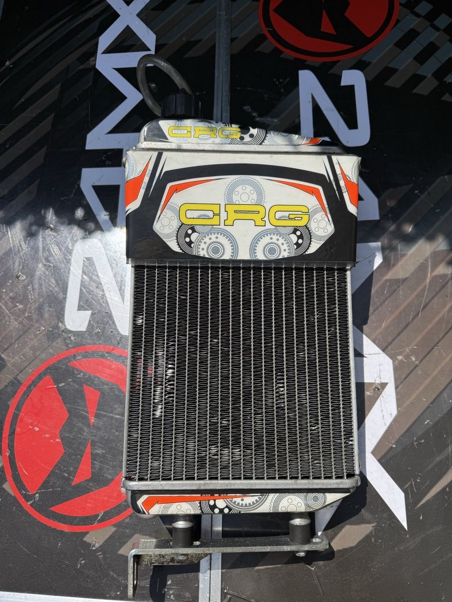 Rotax Go-Kart: Rotax DD2 evo Kart-Motor – Usato da Luzern venduto da Jack_flow26 6