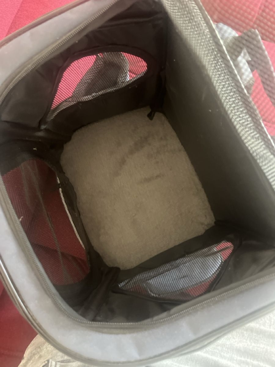 Zaini: deek outdoor Hunderucksack – Nuovo (secondo la descrizione) da Lenzburg venduto da Raitschy 5