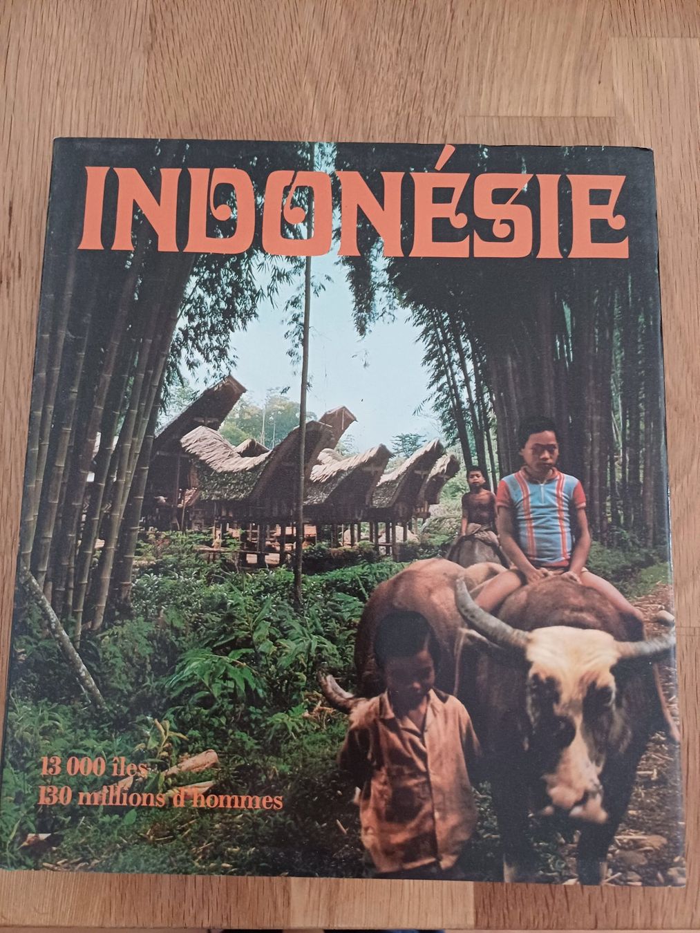 Libri: Indonésie – Usato da Porrentruy venduto da Piquetix