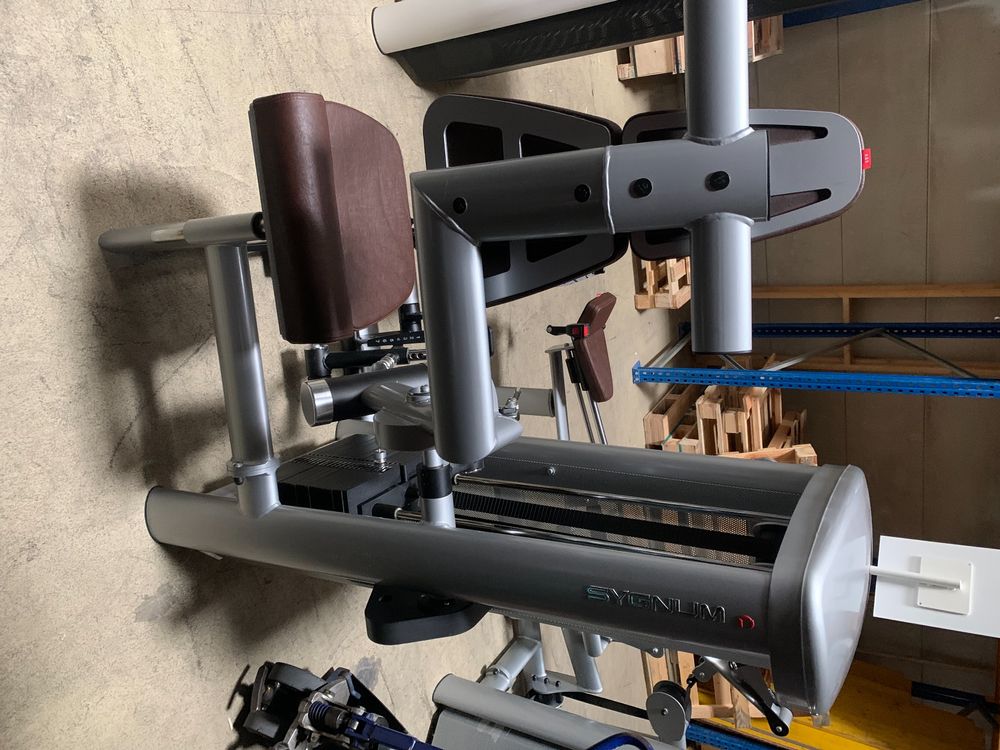 gym 80 sygnum kraftgerät (Gebraucht) in Muri AG für CHF 155 – nur ...
