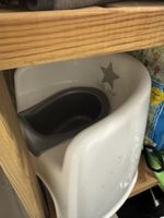Potty