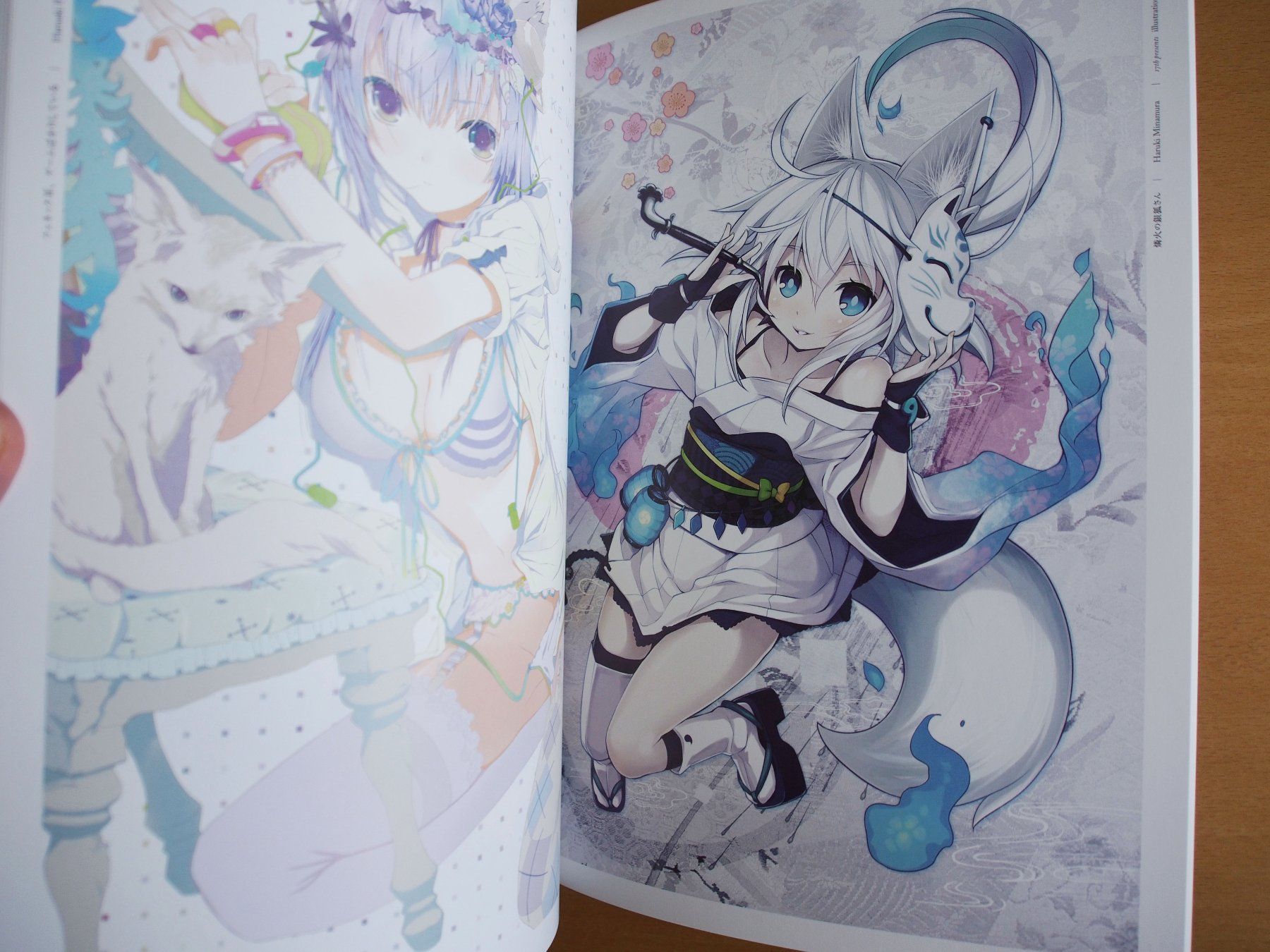 Libri: Illration (Artbook) – Usato da Winistorf venduto da raziel66 3