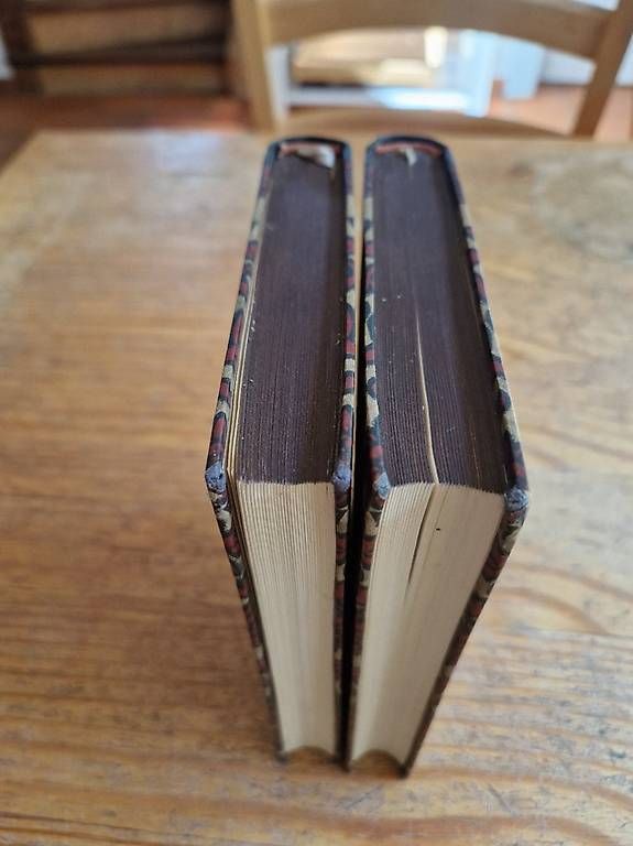 Libri: Anna Karenina - Leo Tolstoi – Usato da Frick venduto da Connect9 2