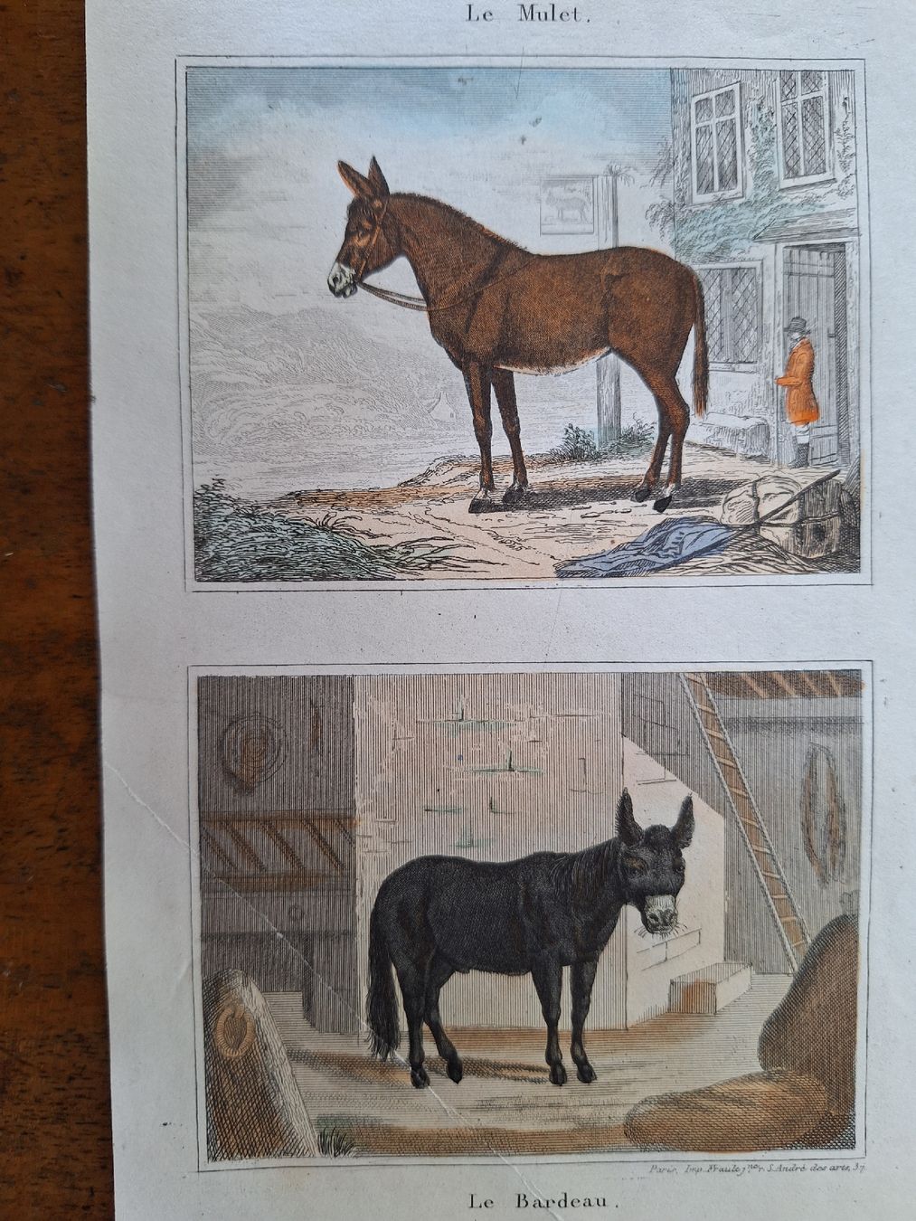 Incisioni: LE MULET ET LE BARDEAU – Usato da Bevaix venduto da bohrap