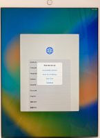 ipad Pro 2015 12.9 Zoll Modell A1584 256GB ipadOS 16.7.16