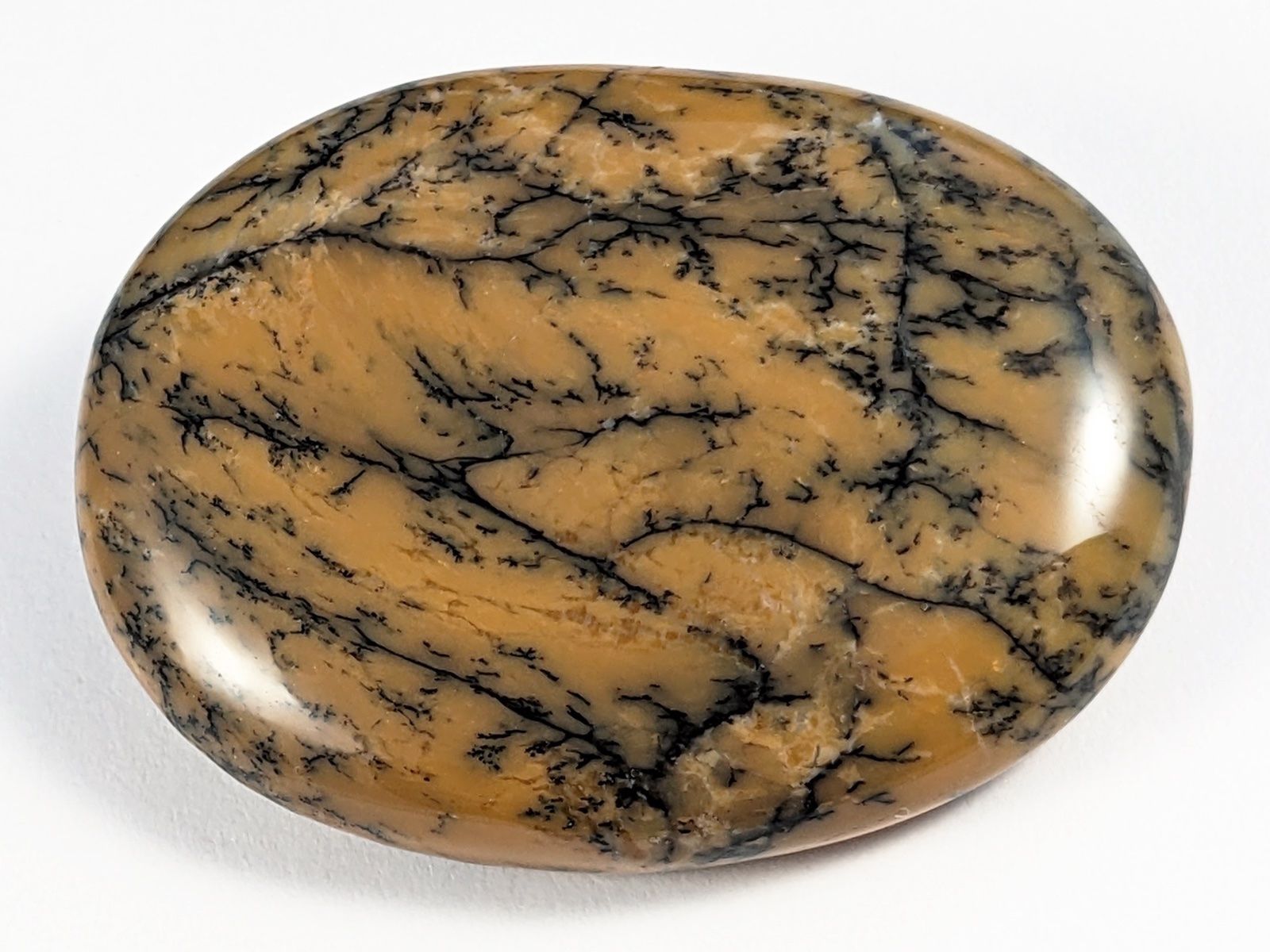 Minerali & Pietre curative: Moosopal/Dendritopal 4,8cm – Nuovo e nell'imballaggio originale da Meilen venduto da StoneGarden