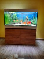 Dringend Eheim Incpiria 430 inkl Inhalt, Zubehör und Fischen