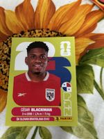 FIFA World Cup 2026 PAN 9 United Edition Sticker