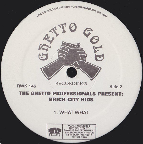 Schallplatten: he Ghetto Professionals* Present: Brick – Gebraucht aus Nidau von ybm 1