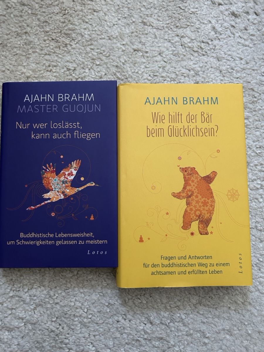 Libri: 2 Bücher von Ajahn Brahm: Glücklichsein & Loslassen – Usato da Zürich venduto da wipiga