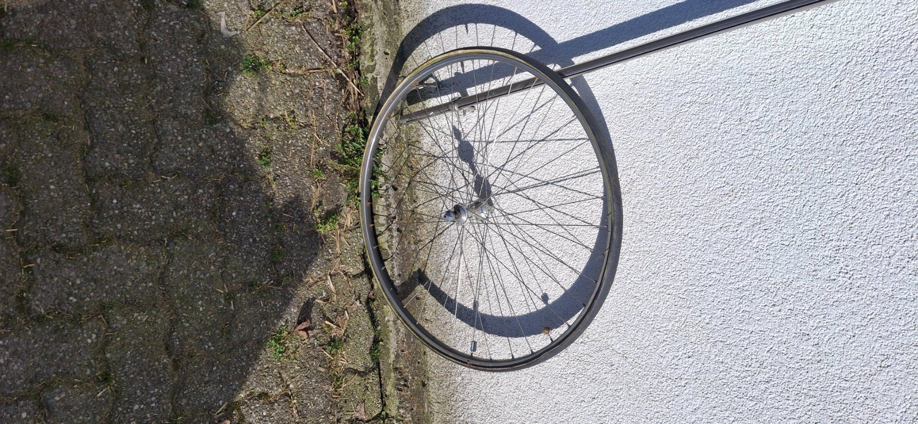 Campagnolo Pezzi di ricambio: Campagnolo Nabe-Laufrad – Usato da Kyburg venduto da JBMNT2020 2
