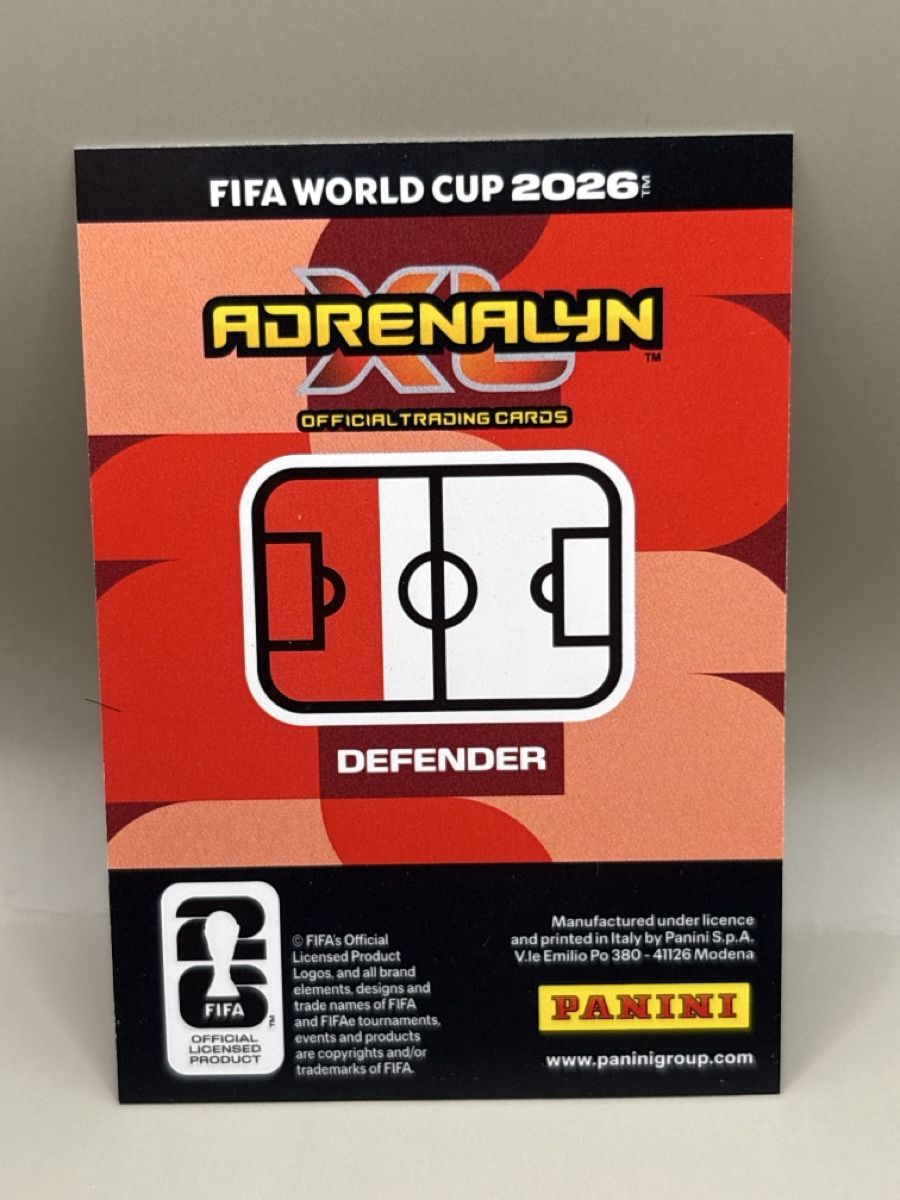 Panini Carte collezionabili: Panini Adrenalyn XL - 110 – Nuovo (secondo la descrizione) da Oberbuchsiten venduto da Bananefrappe93 1