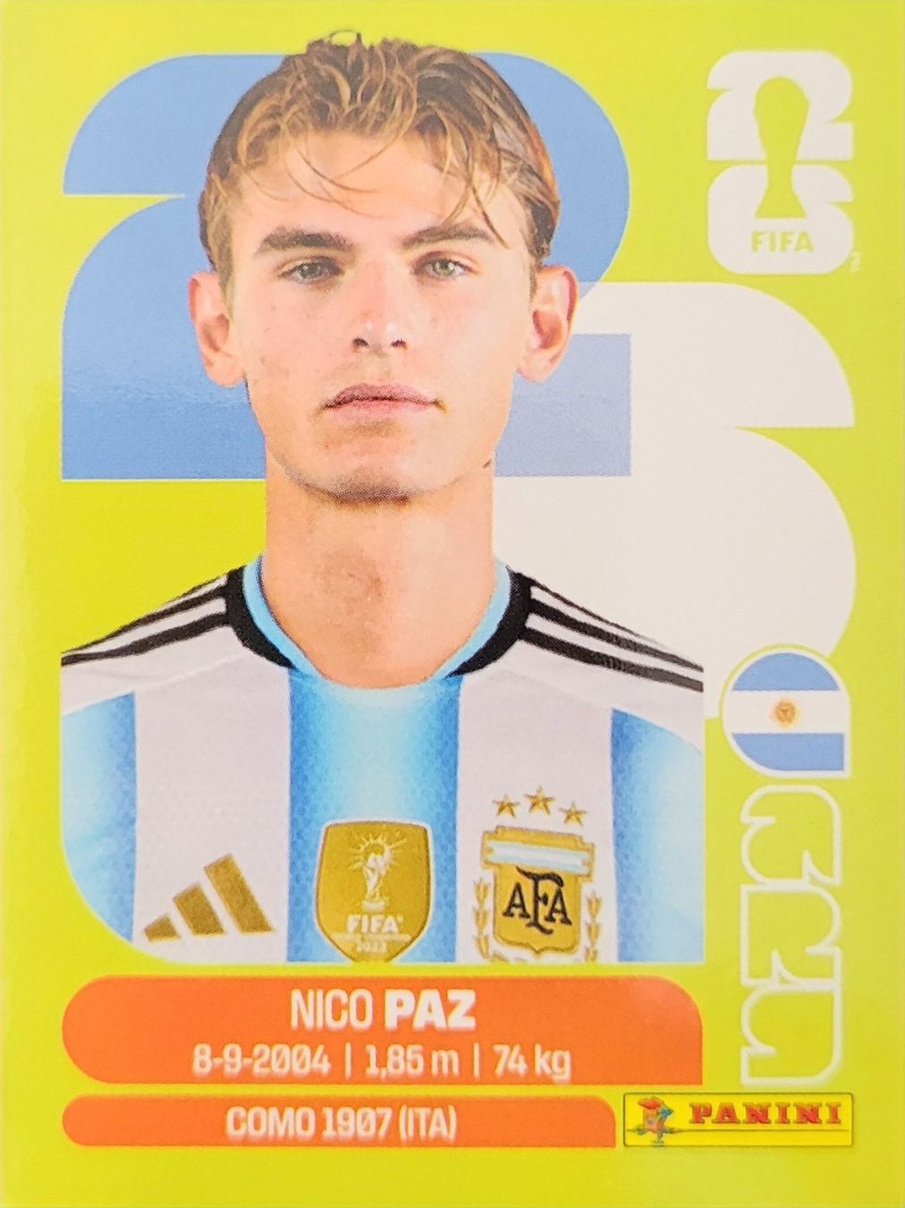 Panini Sammelbilder & Trading cards: Panini FIFA World Cup ARG 14 – Neu (gemäss Beschreibung) aus Wallisellen von never_give_up